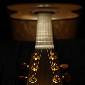 8x8ⅹ拔擦拔擦免费入口
